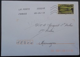 FRANCE - Variété Sur Env. Du Timbre Autoadhésif Sans Valeur Indiquée "Courgette" De La Série"Flore - Légumes" - Storia Postale