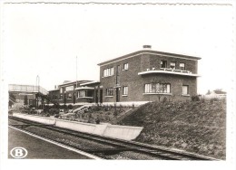 AUVELAIS  --  La Gare - Sambreville