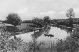 Mareuil Sur Lay : La Rivière Au Bois De Beaulieu - Mareuil Sur Lay Dissais