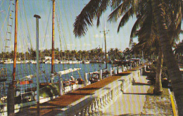 Florida Fort Myers City Yacht Basin - Fort Myers