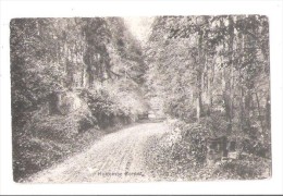 HOLCOMBE CORNER NAILSWORTH GLOUCESTERSHIRE  UNUSED BY MH REDMAN STATIONER  NAILSWORTH OLD POSTCARD - Autres & Non Classés