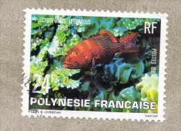 POLYNESIE  : Poissons De Polynésie : Napoléon (Cheilinus Undulatus) - Famille Des Labridae -   Faune Aquatique - - Oblitérés