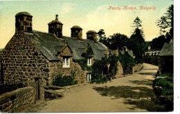 GWYNEDD - DOLGELLY - PANDY-RODYN Gwy113 - Caernarvonshire