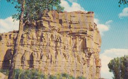 Pompeys Pillar Billings Montana - Billings