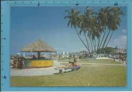 MACEIÓ - Os Famosos " Sete Coqueiros " - BRAZIL -  Ed. Brasil Turistico - 2 Scans - Maceió