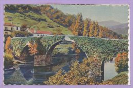 64 - BIDARRAY -- Le Trés Pittoresque Et Vieux Pont En Dos D'ane Sur La Nive - Bidarray