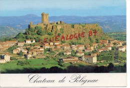 43 -  CHATEAU DE POLIGNAC - Other & Unclassified