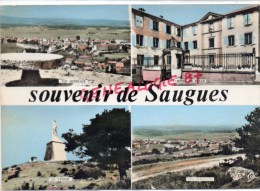 43 -  SOUVENIR DE SAUGUES - LA VIERGE-  HOTEL DE VILLE - - Saugues