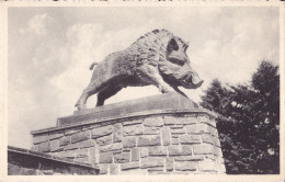 MARTELANGE : Monument Des Chasseurs Ardenais - Martelange