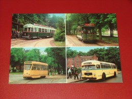 BRUXELLES -   Tram 830 Vers 1901, Tram 321 Vers 1935, Tram 9079 Vers 1960, Bus 8048 Vers 1957 - Transport Urbain En Surface