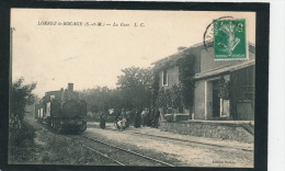 LORREZ LE BOCAGE - La Gare (belle Animation Avec Train) - Lorrez Le Bocage Preaux