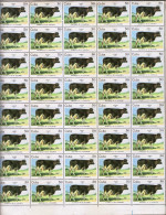 G)1984 CARIBE, COW, LIVESTOCK DEVELOPMENT, SHEET OF 40, MNH - Blocs-feuillets