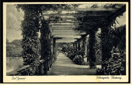 Bad Pyrmont  -  Palmengarten Fürstenweg  -  Ansichtskarte  Ca.1937     (3454) - Bad Pyrmont