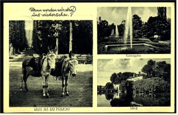 Bad Pyrmont  -  Pferde-Gruß , Palmengarten , Schloß  -  Mehrbild-Ansichtskarte  Ca.1933     (3455) - Bad Pyrmont