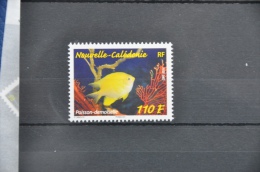 N 258 ++ NOUVELLE CALÉDONIE 2014 FISH VIS POISSON MNH ** - Nuevos