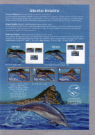GIBRALTAR 2014 - Philatelic Bulletin - Dolphins Dauphins - Delfines Dolfijnen - Dolphins