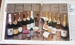 Champagne - Old Ex Yugoslavia (two Pages) Vin Cave Wine Wijn - Alcohols