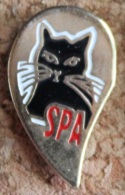 SPA - CHAT NOIR         -   (BRUN) - Associazioni