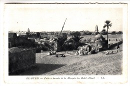 Algérie - El Oued - Puits à Bascule De La Moquée Des Ouled Abmed - El-Oued