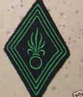 Ecusson Losange De Bras LEGION ETRANGERE Troupe NEUF - Patches