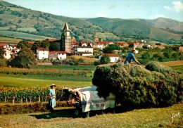 CPM   AINHOA   Le Village Et Ses Environs Avec Dans Un Champ Un Attelage De Boeufs  Un Jour De Ramassage De Foin - Ainhoa