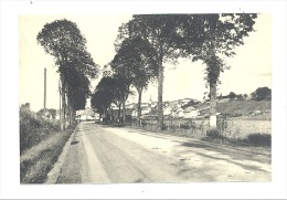 SINT - VITH -  Rue De Luxembourg (1581)b147 - Sankt Vith