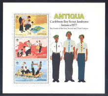 Antigua - 1977 Scouts Block MNH__(FIL-10092) - 1960-1981 Ministerial Government