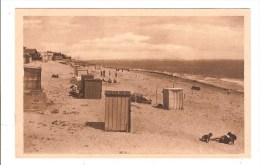Delcampe - DAMGAN - MORBIHAN - LA PLAGE DE SABLE FIN VUE VERS LE SUD - Damgan