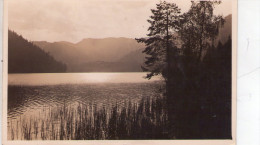 ERLAUFSEE - Lilienfeld