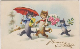 Bonne Année Avec Chat,cat,chaton,fleurs Cadeau,neige,chat D´apparence Humaine,animaux Porte Bonheur - New Year