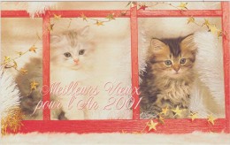 Carte De Voeux,bonne Année ,chat,cat,chaton,chatons Blanc Et Brun,observateur,malheure Ux,curieux,fenetre - Nouvel An