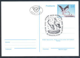 Austria Fauna Stork Störche 1997 Postal Stationary Card Stork Nest Stamp And Cancellation - Storchenvögel