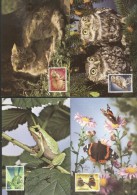 Luxembourg 1985 Endangered Animals, 4 Maximum Cards K.322 - Maximum Cards