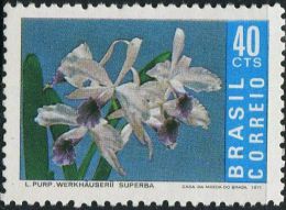 BX0018 Brazil 1971 Orchid 1v MNH - Unused Stamps