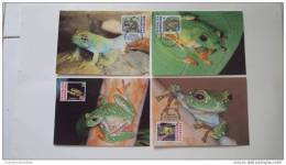 (WWF-484) Maxi Maximum Cards / Maxicard W.W.F. Dominican Republic Hispaniolan Green Treefrog 2011 - Tarjetas – Máxima