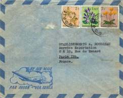 1953  Lettre Pour La France  Fleurs 1,50F, 2F, 7F - Cartas & Documentos