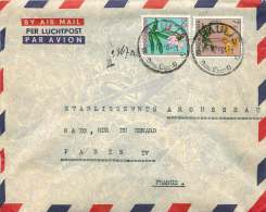 1956  Lettre  Avion De Paulis  Pour La France  Fleurs  0,50F, 7F - Covers & Documents