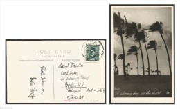 EGYPT 1935 4 MILLS KING FUAD / FOUAD POST CARD ALEXANDRIA - GERMANY "STORMY DAY IN THE DESERT" - Cartas & Documentos