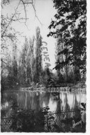 93 - MONTREUIL - L' ETANG DANS LE PARC MONTEREAU - Montreuil