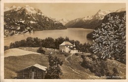 SUISSE-SEELISBERG-SCHLÖSCHEN BEROLDINGEN - Seelisberg