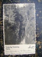 Finkenberg-photo Postcard-1951  (2692) - Zirl