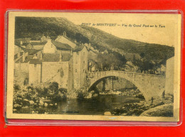 - LE PONT DE MONTVERT - Vue Du Grand Pont Sur Le Tarn - Le Pont De Montvert