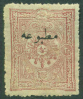 Turkey Ottoman Empire 1894 Newspaper Stamp Overprint 20Pa Mi.80a MH AM.272 - Neufs