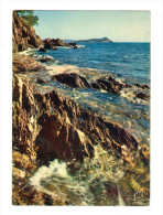 Antheor ?: La Cote D' Azur, Miracle De La Nature, Paysage De La Cote Varoise (14-2320) - Antheor
