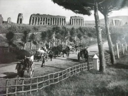 Roma Via Appia Antica Carri Con Botti Di Vino - Multi-vues, Vues Panoramiques