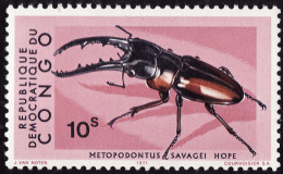 CONGO 1971 -  YT 753  - Metopodontus Savagei  -  NEUF** - Usados