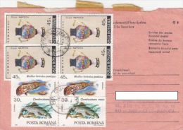 STAMPS ON RECEIVING CONFIRMATION, NICE FRANKING, PORCELAIN, FISH, 1992, ROMANIA - Storia Postale