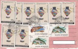 STAMPS ON RECEIVING CONFIRMATION, NICE FRANKING, PORCELAIN, FISH, 1992, ROMANIA - Storia Postale