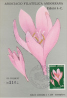 ANDORRE, Carte Maximum Fleur - Colchique, 1975 - Maximumkaarten