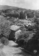 St-Etienne-de-Baigorry. Dans Le Chemin Creux. - Saint Etienne De Baigorry